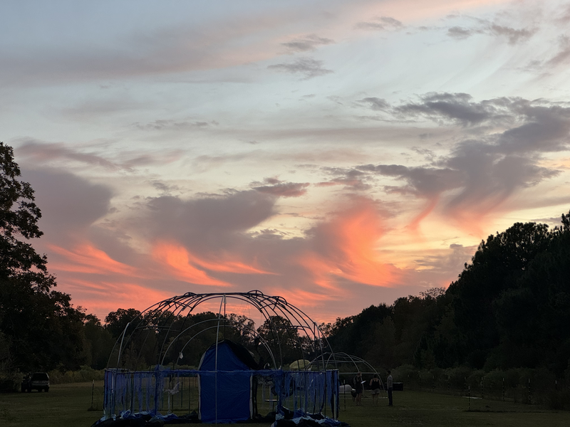 A beautiful sunset over the nature reserve being staged for Halloween